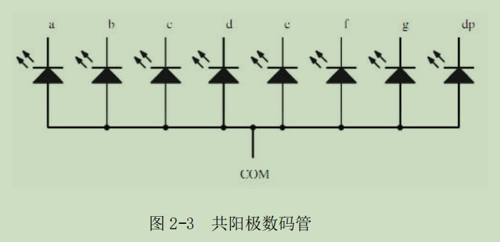 新手学STC单片机 实验二 动态数码管的显示-2.png