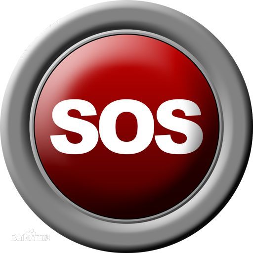 95 SOS 024f78f0f736afc3bcb82099ba19ebc4b6451291.jpg