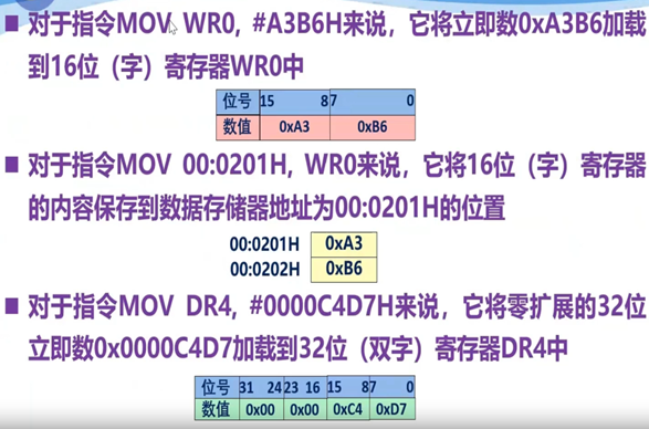 打卡贴-1.png