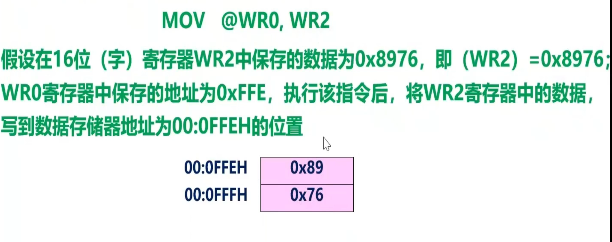打卡贴-3.png
