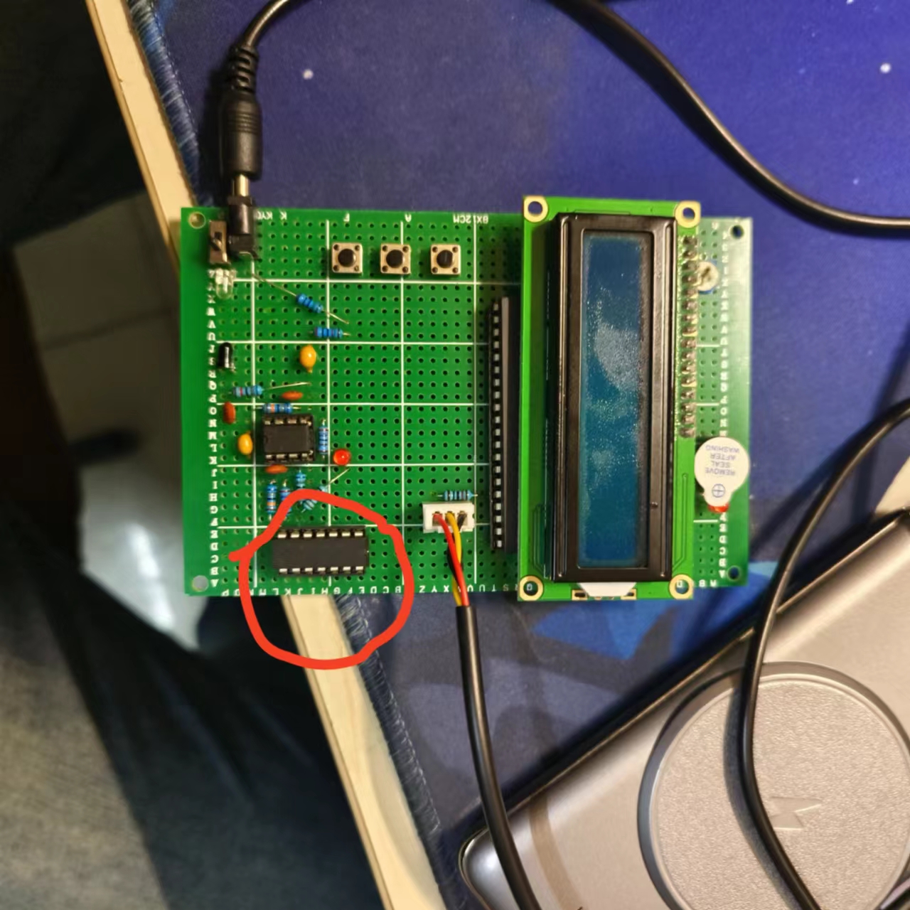 mmexport1703073223692.jpg