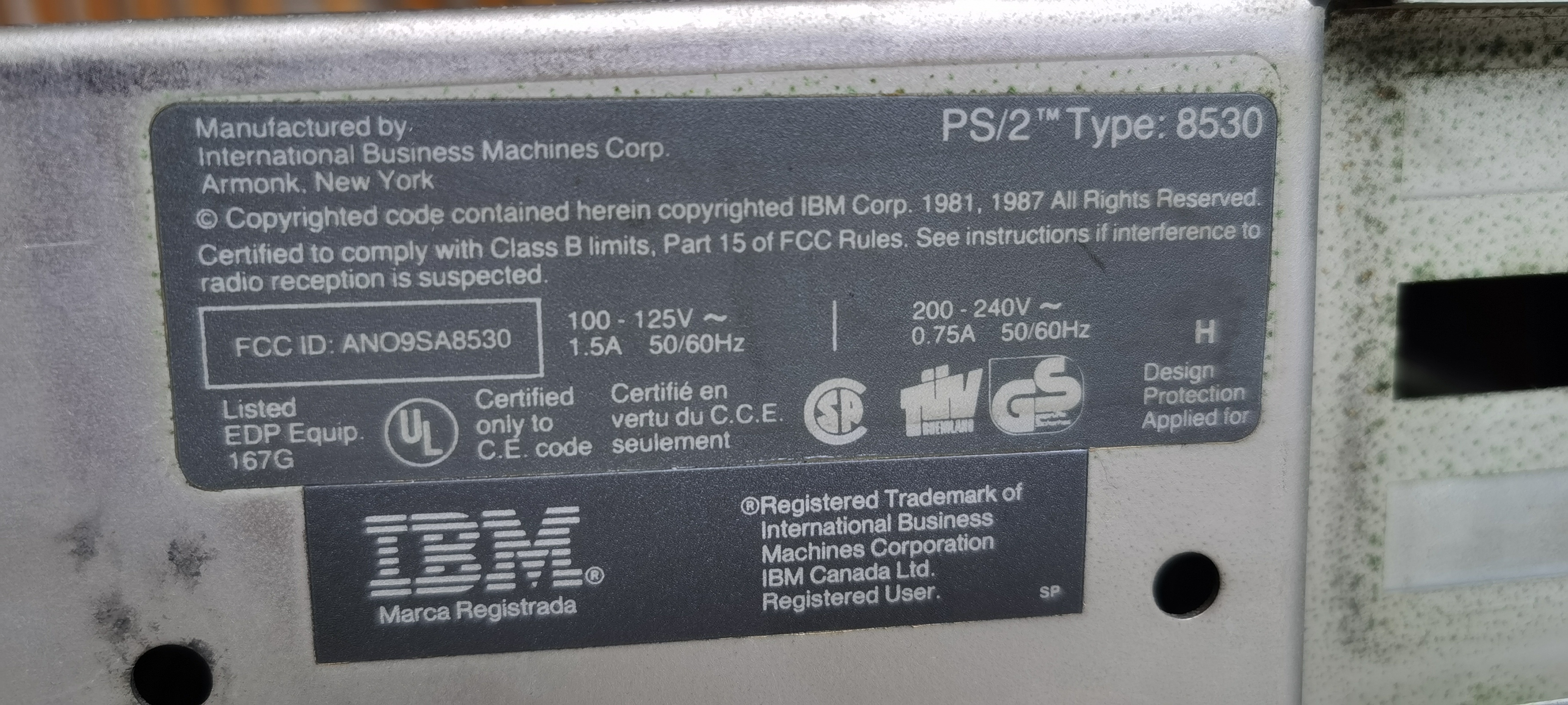 8086 5.jpg