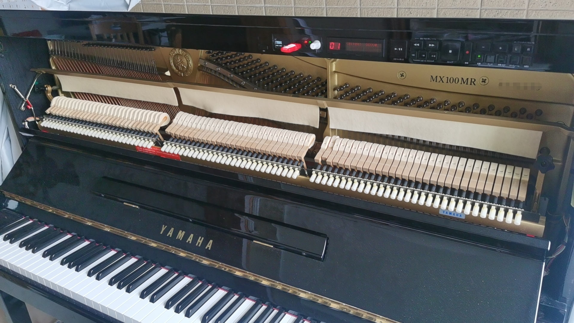 MX100 2.jpg