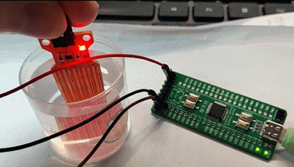 water_level_measurement.gif water_level_measurement.gif
