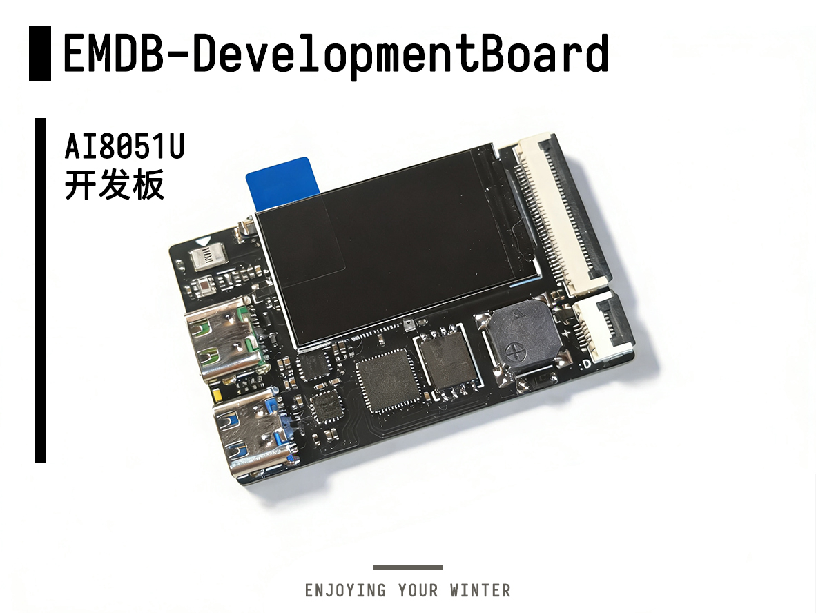 EMDB-DevelopmentBoard.jpg