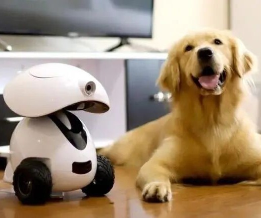 截图202604031110534786.jpg